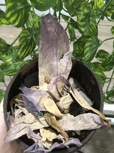 Matériau naturel de pétales de fleurs de lotus séchées de haute qualité du Vietnam pour la décoration de thé et le pot-pourri - Product Image 3