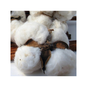 Exportation en vrac de fibre de coton brut de couleur naturelle à un prix abordable dans le monde entier - Product Image 6