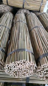 Bâtons de jardin en bambou écologique 100%/piquets de cannes en bambou/bâtons de bambou supportant les plantes d'eco2go vietnam - Product Image 2