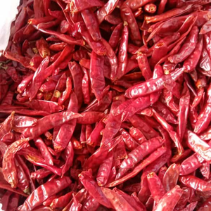 Chiles rojos secos enteros Teja Premium de granjas indias sostenibles para ventas africanas, indios Sannam seleccionados a mano - Product Image 2