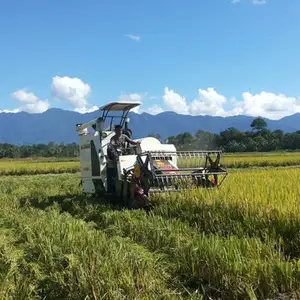 Bester Preis Ziemlich gebrauchter Reis-Mähdrescher/billiger Mähdrescher Ziemlich gebrauchte landwirtschaft liche Geräte