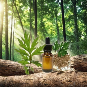 Extracto Herbal de Davana, Aceite Esencial de Grado Alimenticio en Lata - Product Image 1