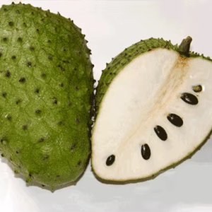 FABRICANTE DE VIETNAM DE POLVO DE HOJAS SOURSOP CON SUMINISTRO A GRANEL Y OPCIONES OEM - Product Image 1