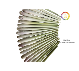 Hierba de limón congelada de alta calidad precio barato de hierba de limón congelada IQF DE FÁBRICA DE Vietnam por marca 99GD - Product Image 5