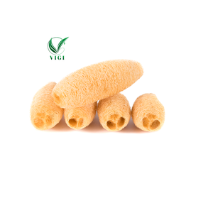 ฟองน้ำใยบวบดิบ-ใส่ใจสิ่งแวดล้อมและเป็นมิตรกับงบประมาณสำหรับธุรกิจของคุณ - Product Image 1