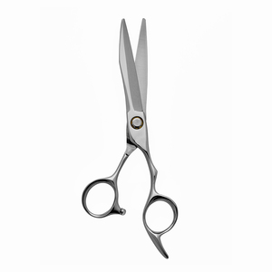 Tijeras de corte de pelo superior con reposapiés Hermosas tijeras de corte de peluquero Cuchillas afiladas con borde de afeitar recubierto de plata - Product Image 1