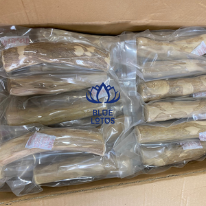 Produit chaud Bâton à mâcher pour chien en bois de café-Durable et sans danger pour les animaux de compagnie - Product Image 1