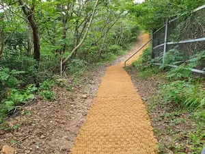 Matelas en Coco du Vietnam de haute qualité/couverture en Coco/tapis Coco pour l'exportation - Product Image 2