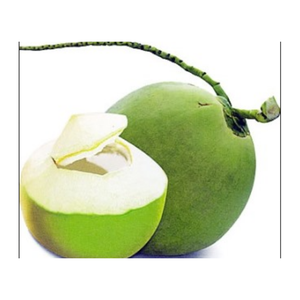 Coco joven fresco de Vietnam, tapa fácil de abrir, ideal para venta al por menor y servicio de alimentos - Product Image 2