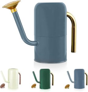 Arrosoir en métal avec bec amovible et poignée couleur laiton, joli arrosoir en acier galvanisé avec motif cactus - Product Image 2