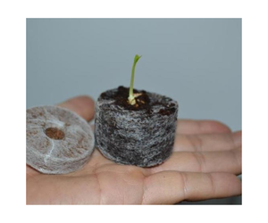 Bloque de plántulas Tapones de coco Venta al por mayor Pellets de coco Pellet de turba de coco para plantas en crecimiento - Product Image 1