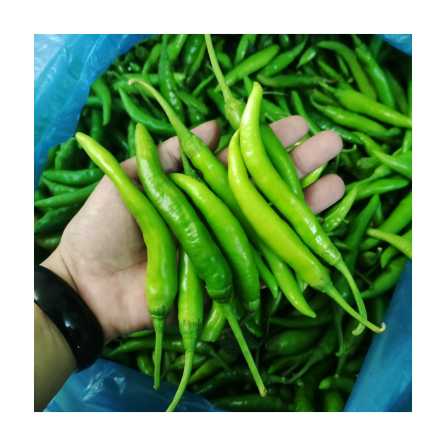 IQF замороженный красный и зеленый чили с огненным вкусом для производителей острой пищи, этнические соусы и готовые к приготовлению смеси