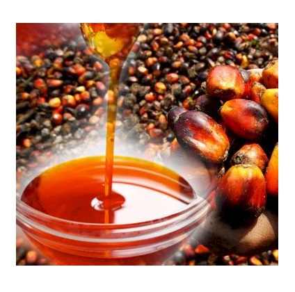 Red Palm Oil | Extra Virgin Natural Red Palm Oil