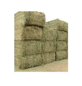 Heno de alfalfa a precio muy barato/calidad Rhodes Grass Hay Alfalfa - Product Image 3