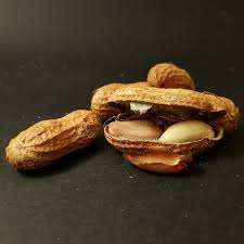 Cacahuetes Secos con Cáscara, Granos de Cacahuete Crudos con Precio Competitivo, Icónico Snack de Cacahuetes Tostados - Product Image 4