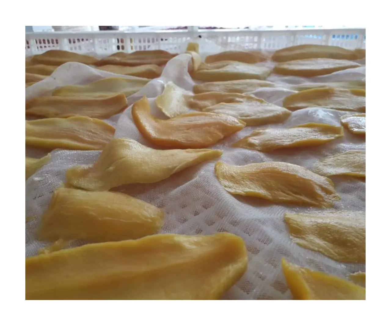 Vietnam tedarikçiden kurutulmuş meyve % 100% doğal Mango kurutulmuş yumuşak Mango