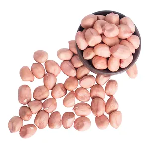 Großhandel Sheller Raw <span class=keywords><strong>Kernel</strong></span> Erdnüsse Verpackung getrocknet No Shell Bulk Erdnuss nüsse