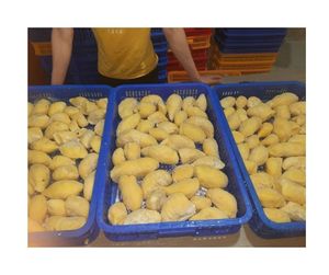 IQF Frozen Durian <b>Known</b> For Strong Aroma And Smooth Texture - Frozen Durian Vietnam Bulk Export for Consistent Supply - Product Image 6