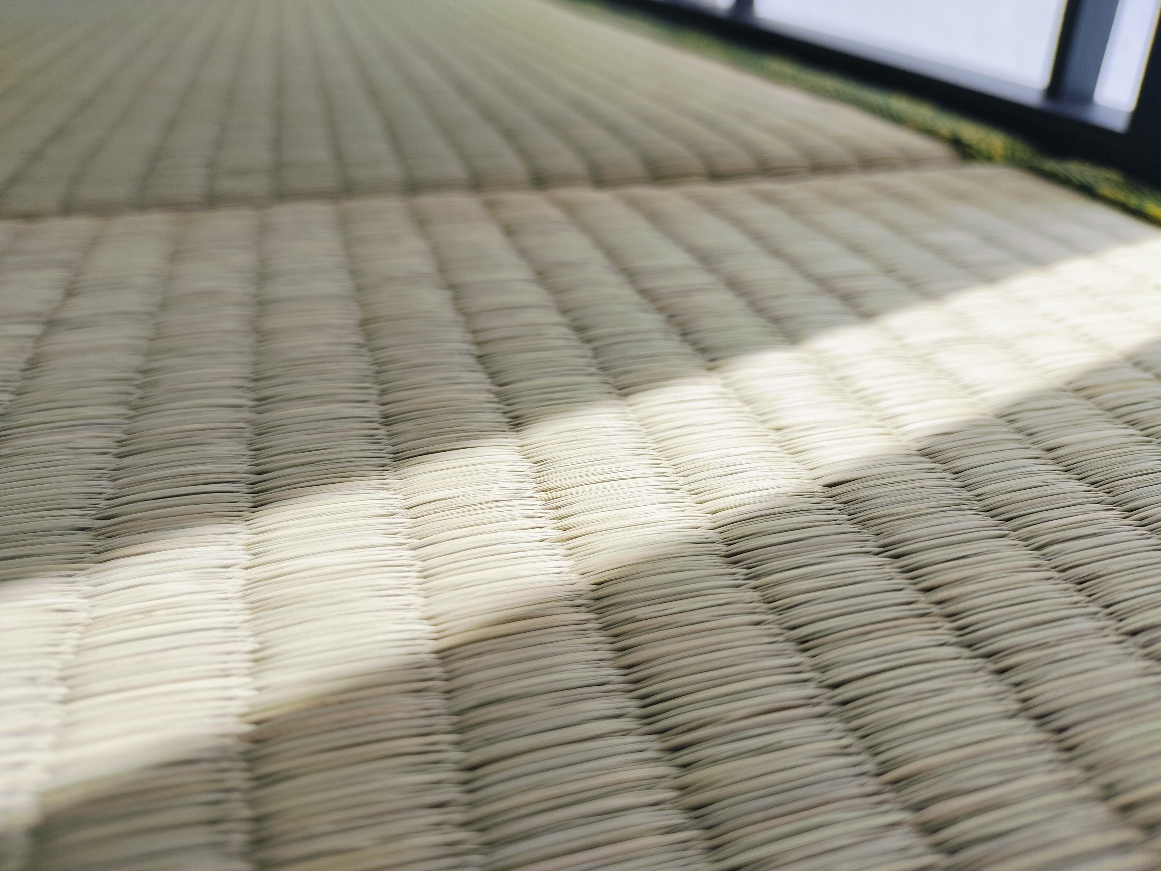 Rush Grass (Pure Japanese Rush Grass ECO5000)