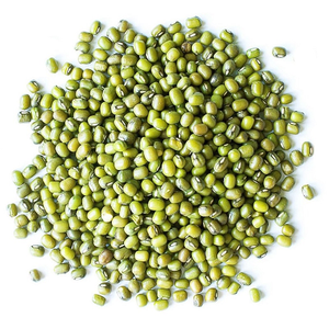 Organic Mung <b>Beans</b> Clean Sorted Bulk Supply - Product Image 1