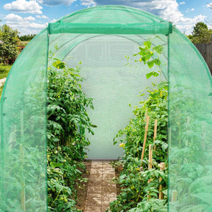 Film de remplacement pour serre tunnel 4x2,5m, couverture pour serres et chambres de jardin - Product Image 4