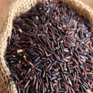 HORS DE LA CLASSE RIZ NOIR DU PRINCIPAL FABRICANT VILACONIC-Grade de riz de couleur biologique vietnamienne AAA-M. Harry Phan (+ 84) 9488384 - Product Image 2