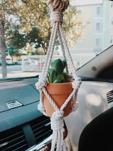 Colgador de macramé de alta calidad para plantas, mini soporte para maceta para el hogar y el jardín para uso en exteriores, precio bajo de la India - Product Image 4