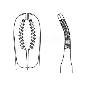 Pince de réduction osseuse 6 pouces petite mâchoire étroite incurvée en acier inoxydable pince de maintien chirurgicale orthopédique pour la chirurgie osseuse - Product Image 6