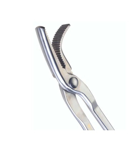 Farrier Horse Shoe Nail <b>Puller</b> With Hoof Clincher Tools 12" Horse Equipment Stainless Steel - Product Image 5