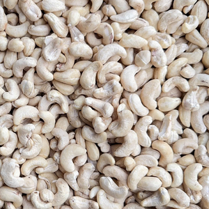 Proveedor de confianza de Vietnam Anacardo Origen W240 450 Sw Santigo Factory Vietnam Exportado A LA UE, Medio Oriente - Product Image 1