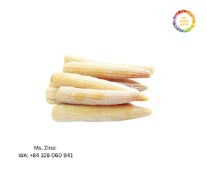 Maíz bebé congelado de calidad superior a precio barato al por mayor de exportación de Vietnam por 99 Gold Data - Product Image 1