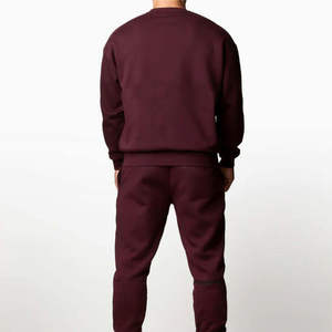 Survêtements pour hommes de qualité supérieure fabriqués par des professionnels pour l'hiver Logo personnalisé Survêtements pour hommes à capuche vierges pour le streetwear OEM - Product Image 3