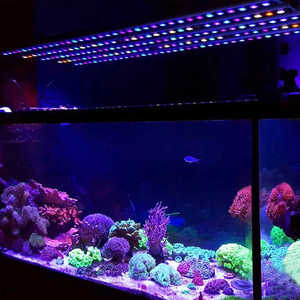 Barre LED pour aquarium, 60cm-150cm, IP65, étanche, alimentée par batterie, haute luminosité, garantie 2 ans, bleu 410nm UV, poissons d'eau salée - Product Image 1