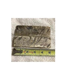 Ox Buffalo Sheep Horn Flat Plate for Eyewear Optical and <b>Frames</b> and handles Customized - Product Image 5