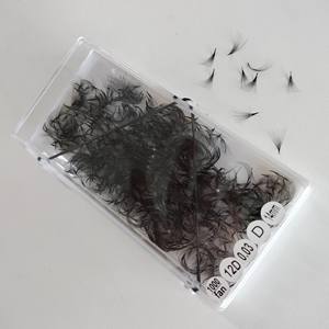 Nuevo y caliente estilo coreano Pbt fibra 1000 caja 0,03mm a 0,20mm 12D ventiladores Promade sueltos hechos en Vietnam - Product Image 6