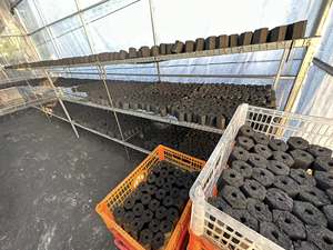 Charbon de bois dur - Briquettes MULTIUSAGES 7700J Calory Bonne Qualité à Vendre - Product Image 3