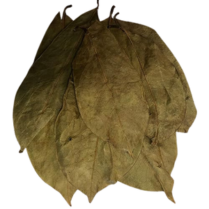 VENTE EN GROS FEUILLES DE SOURSOP SÉCHÉES EN VRAC FEUILLES DE SOURSOL GRAVIOLA THÉ 100% SOURSOP NATUREL SÉCHÉ AU SOLEIL - Product Image 3