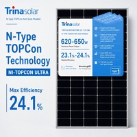 Module solaire Trina Solar N-Type Con double vitrage 620-650W 132 cellules demi-coupées pour projets commerciaux sur toits et installations au sol