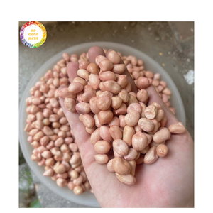 Arachides séchées de haute qualité en provenance du Vietnam Matière première naturelle authentique pour la production de snacks et l'exportation en gros mondiale - Product Image 5