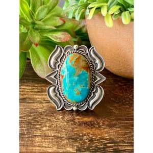 Alex Sanchez Royston Men's <b>Statement</b> <b>Ring</b> Turquoise & Sterling <b>Silver</b> Bezel Set Size 8.25 Everyday Wear - Product Image 1