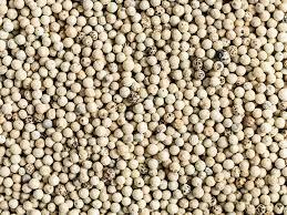 Poivre blanc biologique à vendre - Product Image 5