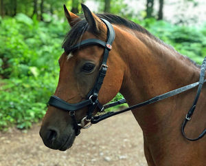 Bride de cheval anatomique en cuir avec rênes de luxe NOIR OU MARRON Fabricants vendant Bride de cheval en cuir véritable - Product Image 5