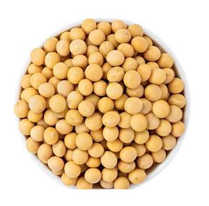 ถั่วเหลืองแบบพรีเมี่ยมสำหรับขาย - Product Image 6