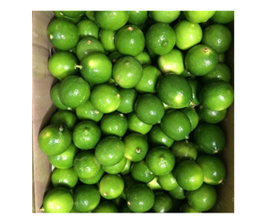 Juicy Fresh Seedless Lime Green Lemon Natural Vietnam Origin Sabor refrescante Top Venta al por mayor Fresh Seedless Lime Export Ready - Product Image 3