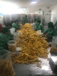 Mango Kaew orgánico de nueva cosecha, Mango Seco de alta calidad con sabor dulce, embalaje a granel, precio súper barato - Product Image 4