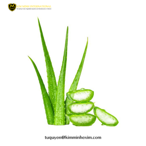 Cubos de Aloe Vera Congelados IQF de Calidad de Exportación para Bebidas y Postres - Product Image 5