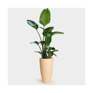 Maceta redonda de Metal dorado de Venta caliente, mesa de suelo interior, maceta de flores, planta de exhibición en maceta con soporte - Product Image 4