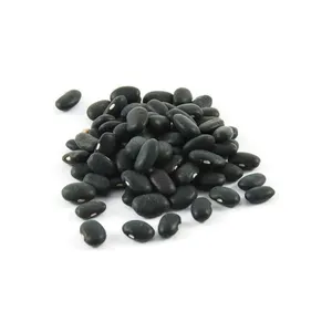 インゲン豆のようなパルスを販売するための安いダークブラックインゲン豆の長い形のインゲン豆を購入する
