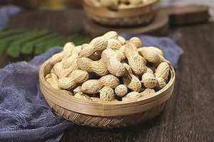 SUPPORT IMMUNITAIRE CONGELÉ ARACHIDES BOUILLÉES À PARTIR D'INGRÉDIENTS PROPRES ET DE TERMINALIA CATAPPA LEAF INSPIRATION - Product Image 3