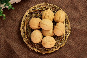 Wholesale Premium Organic Blanched Walnuts <b>Kernel</b> Top Grade Best Quality Fresh Stock with Reliable Netherlands Shipping - Product Image 6